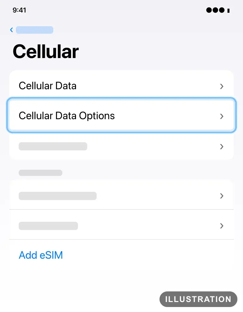 Illustration of the iPhone Cellular settings with Cellular Data Options ringed