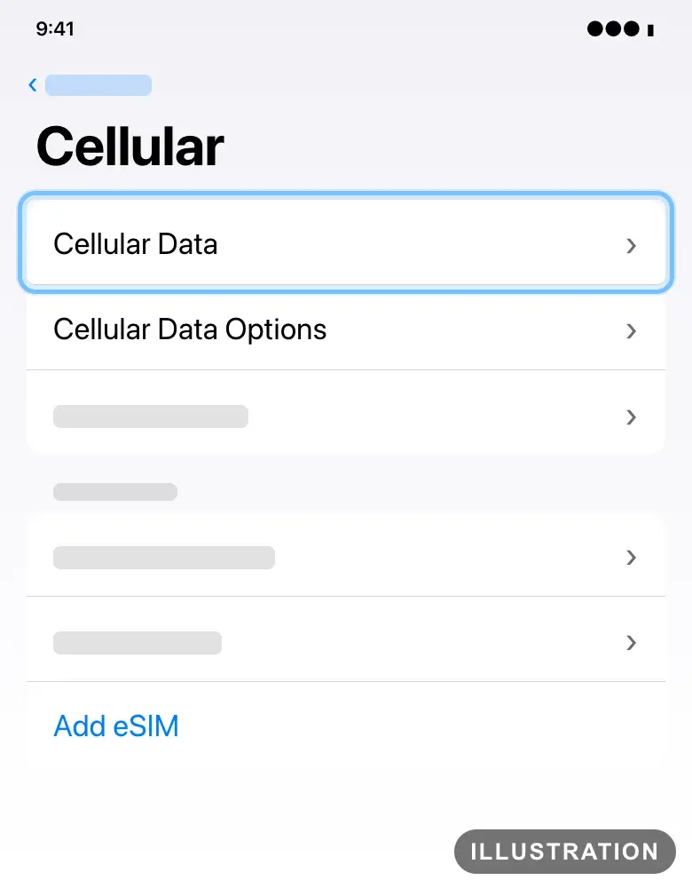 Illustration of the iPhone Cellular settings with Cellular Data ringed