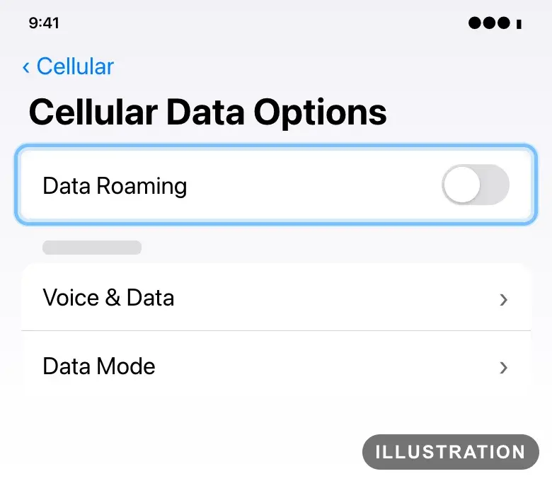 Illustration of the iPhone Cellular Data Options with the Data Roaming switch ringed