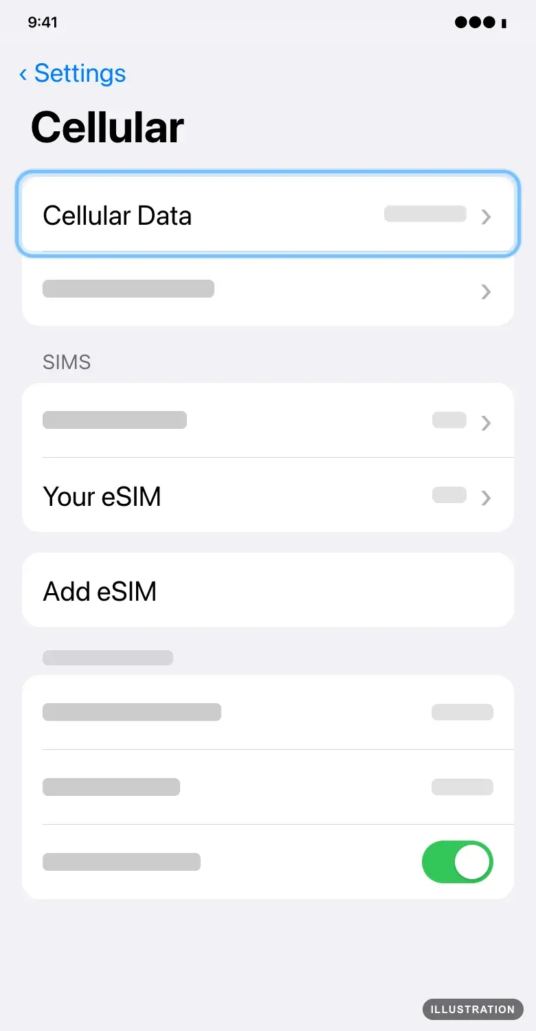 Illustration of the iPhone Cellular screen with Cellular Data ringed