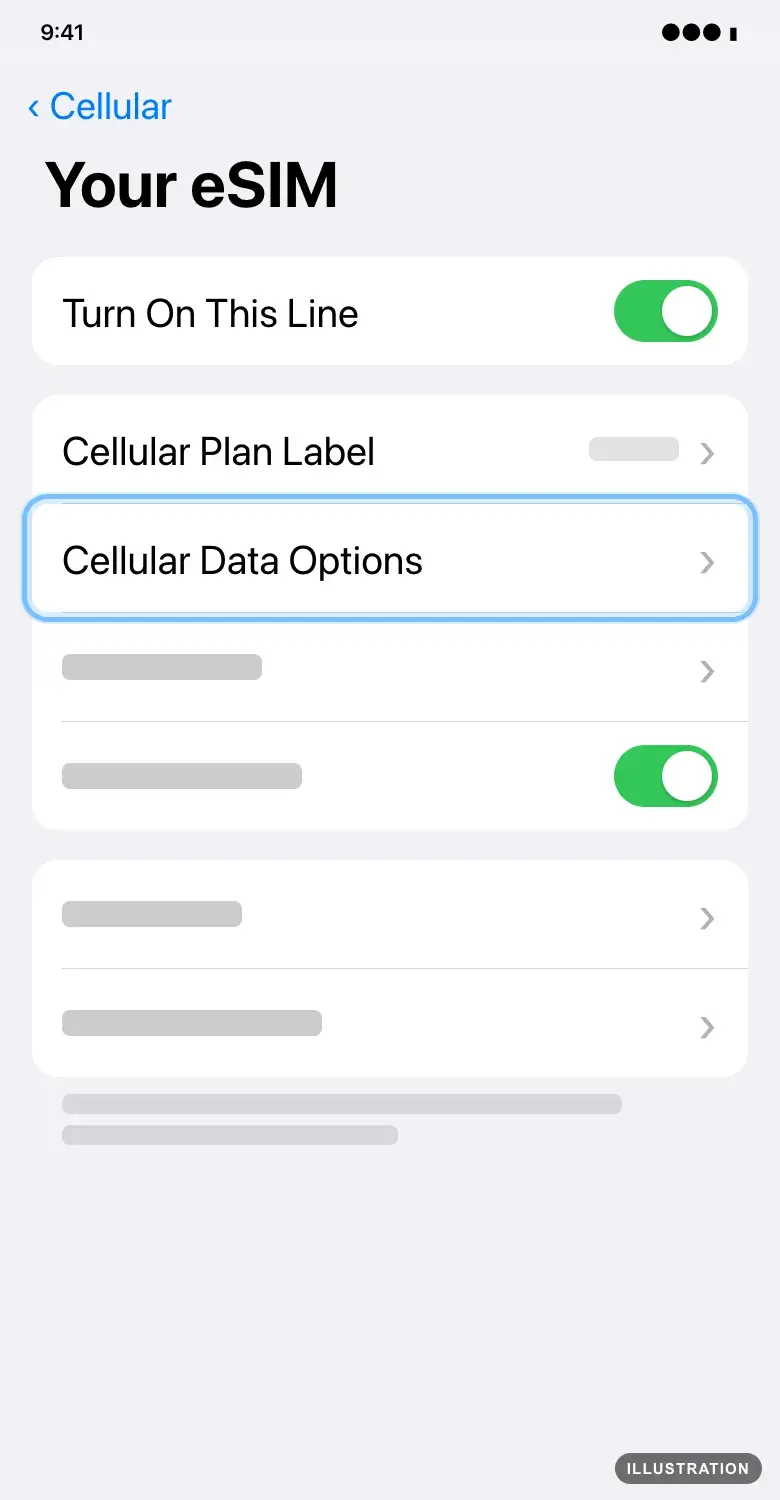 Illustration of the iPhone eSIM line screen with Cellular Data Options ringed