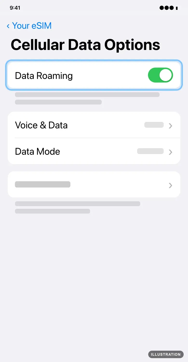 Illustration of the iPhone Cellular Data Options screen with the Data Roaming switch ringed