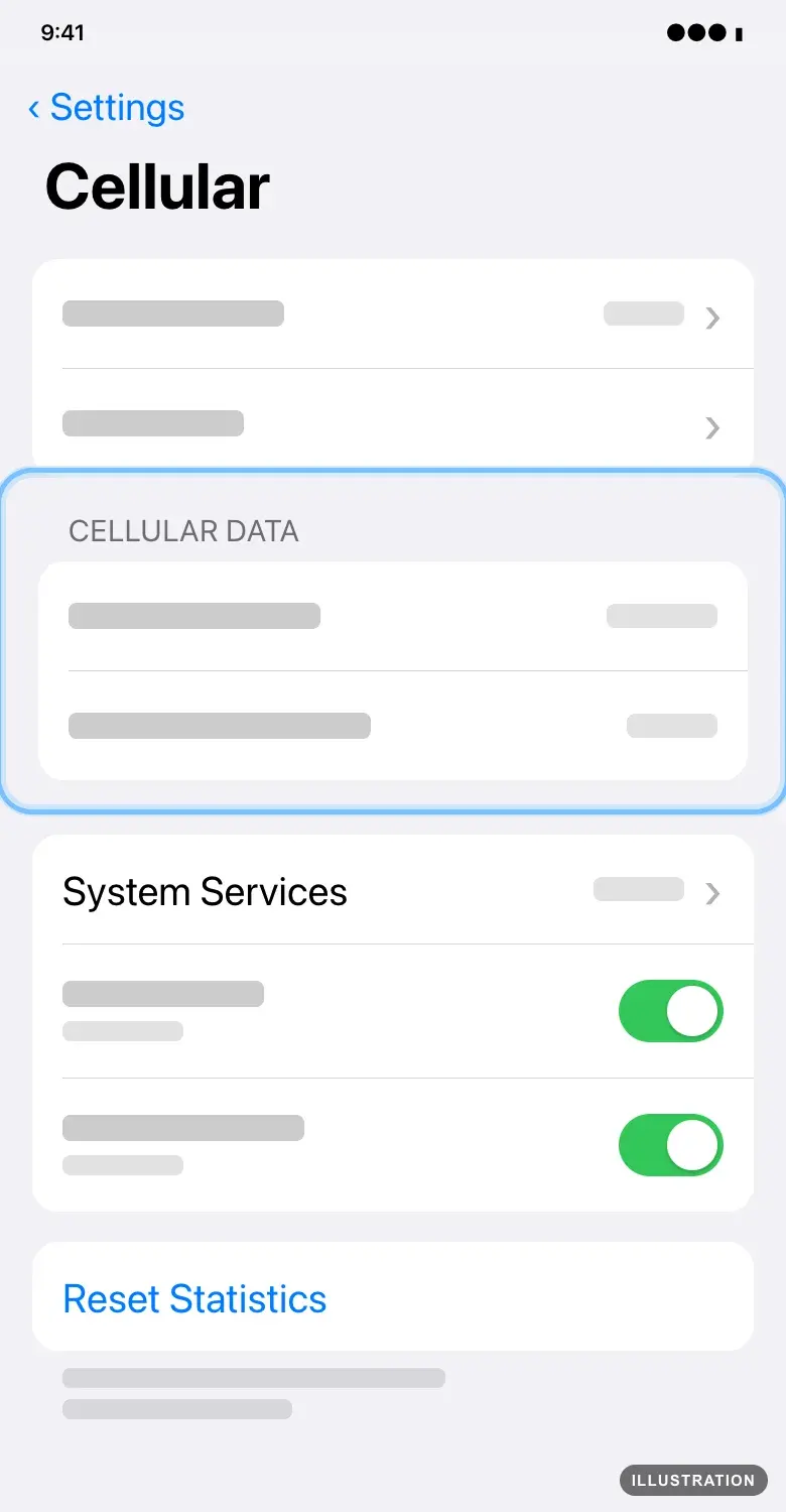 Illustration of the iPhone Cellular screen with the data used under the Cellular Data heading ringed