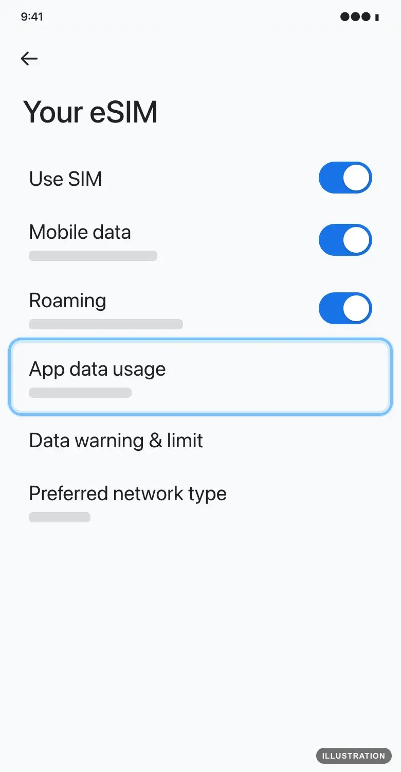 Illustration of the Pixel eSIM settings with App data usage ringed