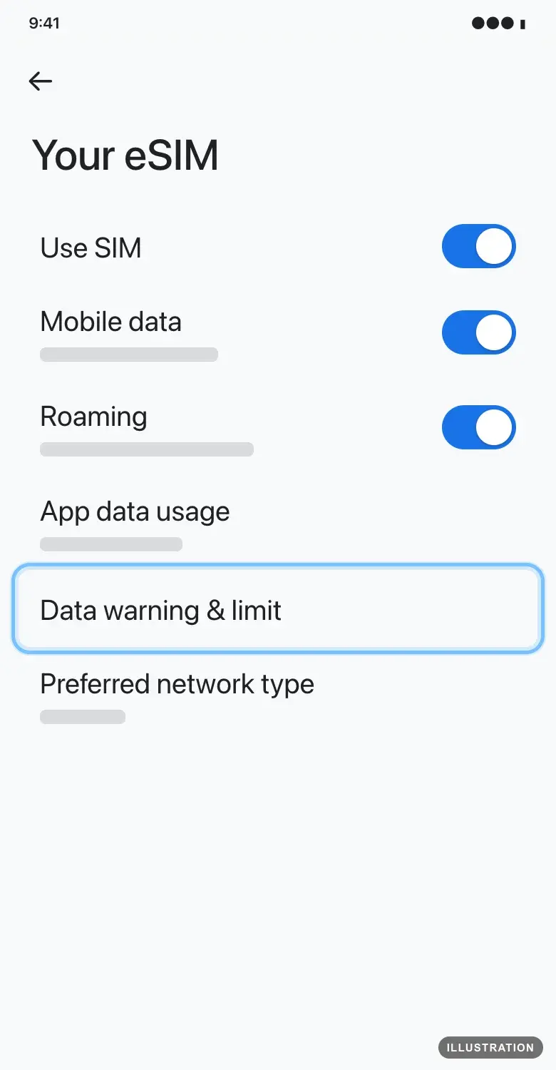 Illustration of the Pixel eSIM settings with Data warning & limit ringed
