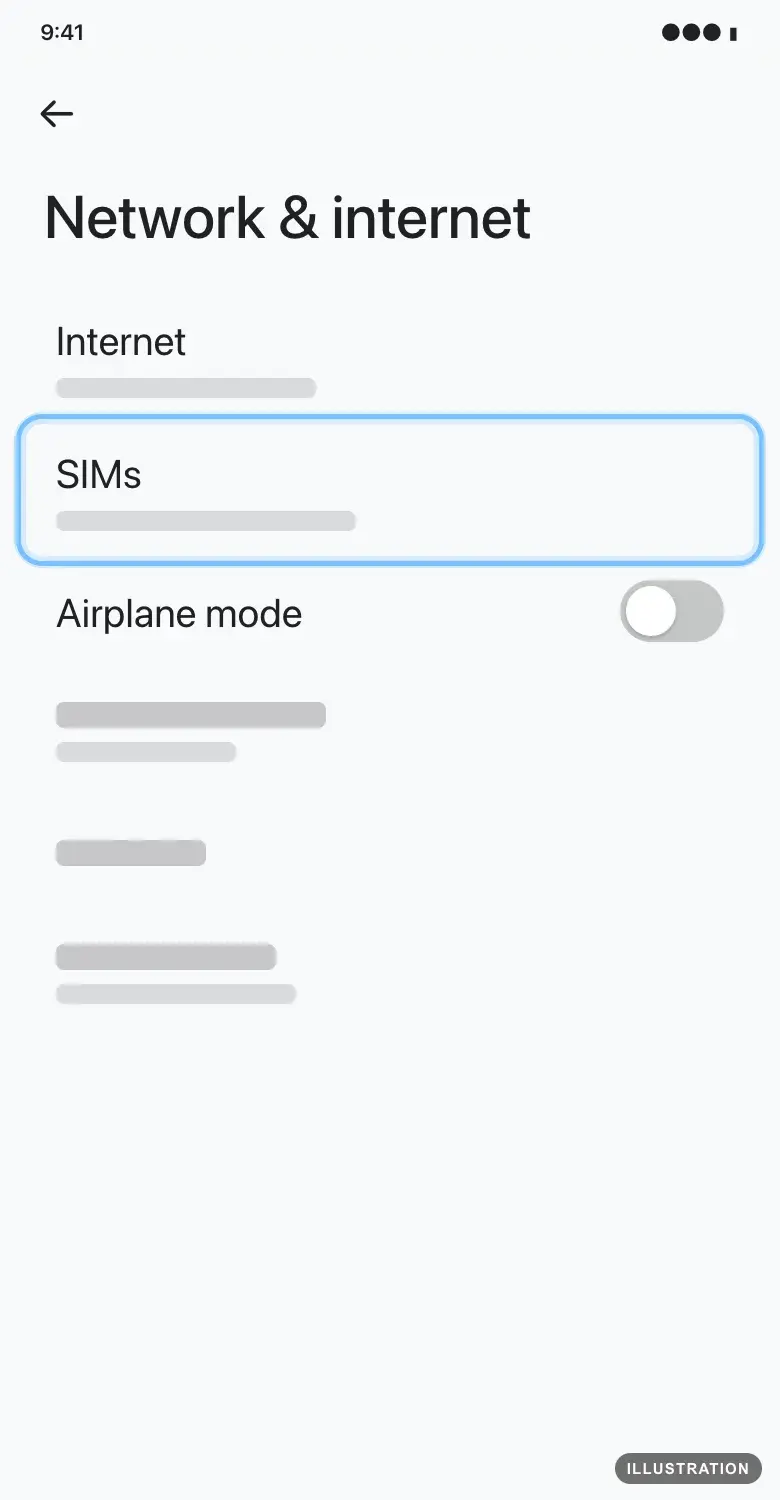 Illustration of the Pixel Network & internet screen with SIMs ringed