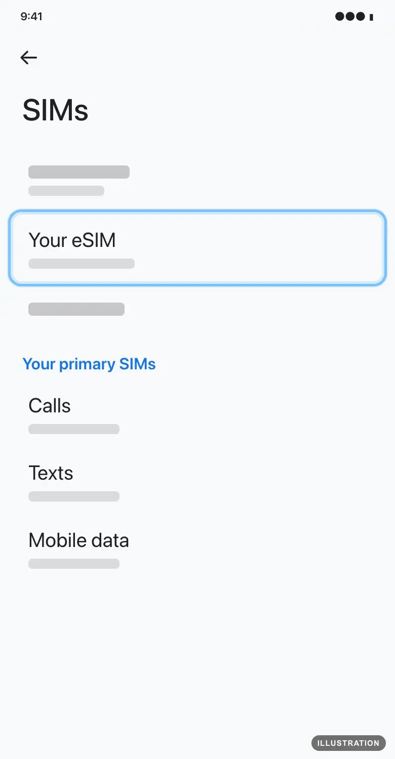 Illustration of the Pixel SIMs screen with the eSIM ringed